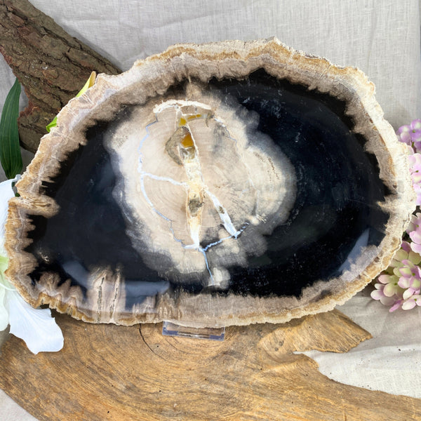 Versteend houten bord nr.06