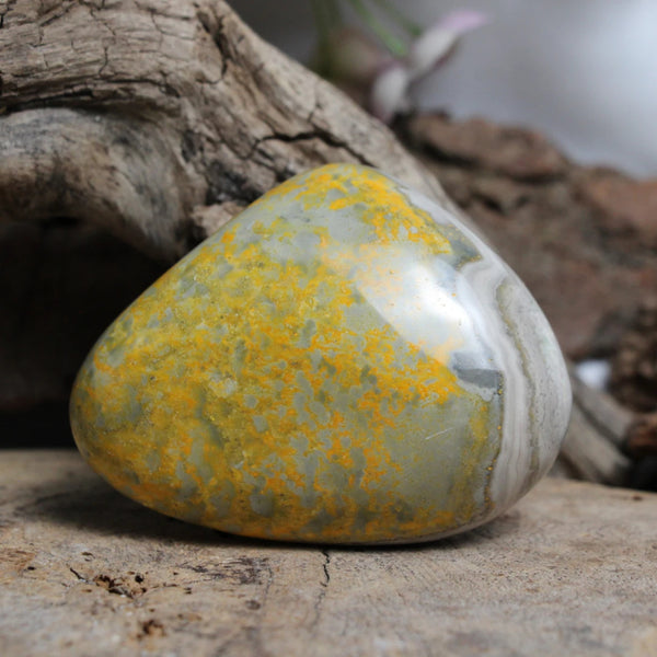 Jaspis Bumblebee sculptuur nr.21