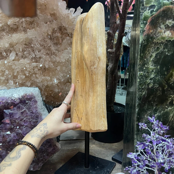 Versteend hout sculptuur op voet nr.5303