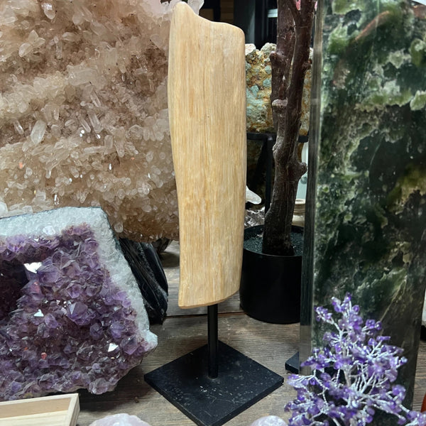 Versteend hout sculptuur op voet nr.5303