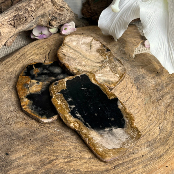 kleine versteend houten schijfjes, 10-11 cm p/st
