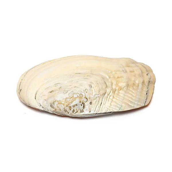 Spiritual maandelijkse box