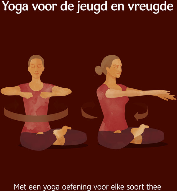 Yogi Tea Maca Chai - tray: 6 stuks