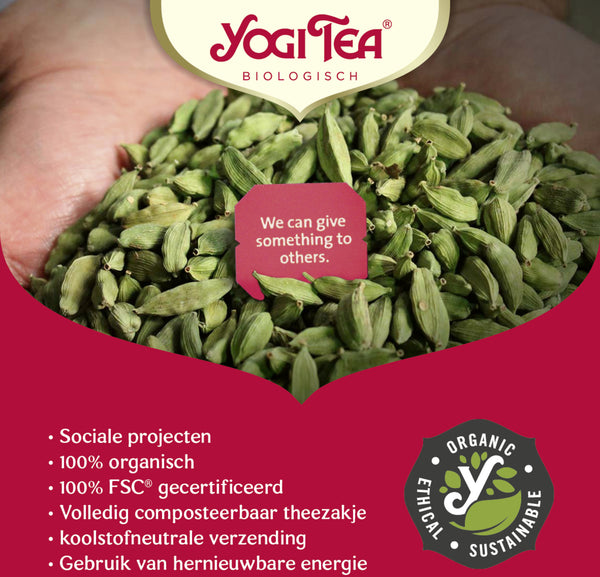 Yogi Tea Maca Chai - tray: 6 stuks