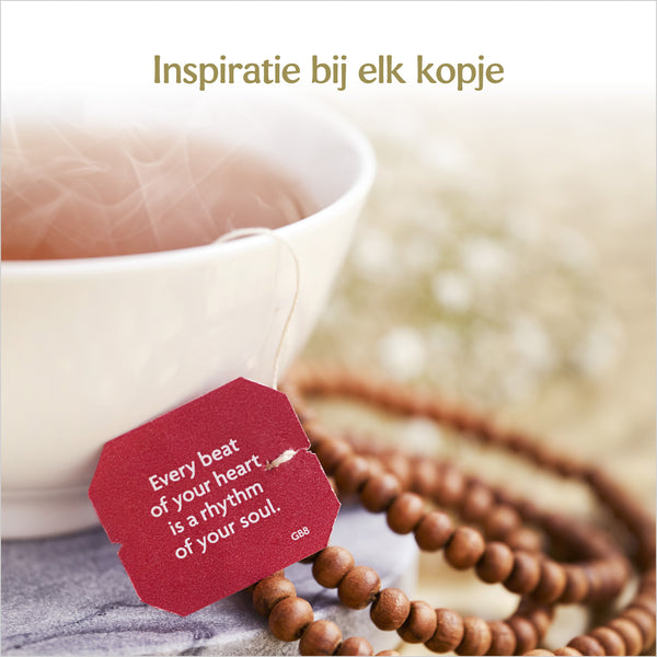 Yogi Tea Echinacea - tray: 6 stuks