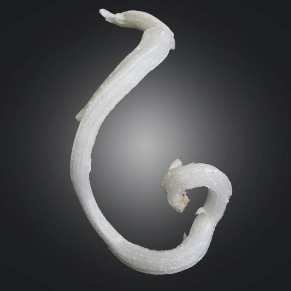 Gips, China nr.02