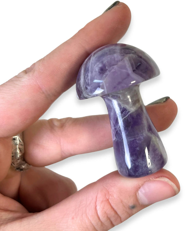 Amethist Paddenstoel 5cm