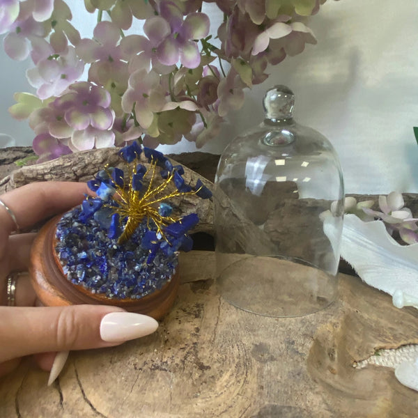 Lapis Lazuli edelsteen boompje onder glazen stolp