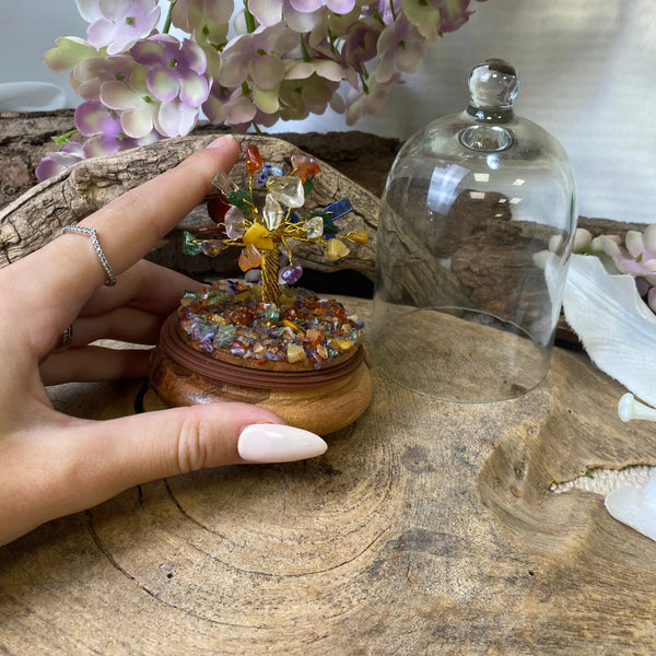 Chakra edelsteen boompje onder glazen stolp