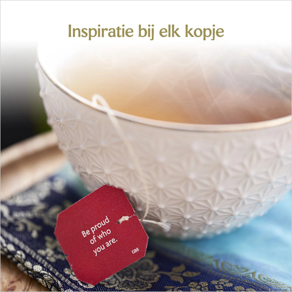 Yogi Tea Breathe Deep Bio pakje