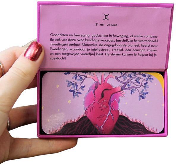Astro pocket Tweelingen