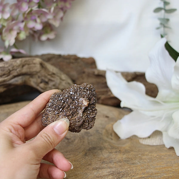 Vanadeniet chocolade A ruw nr.08