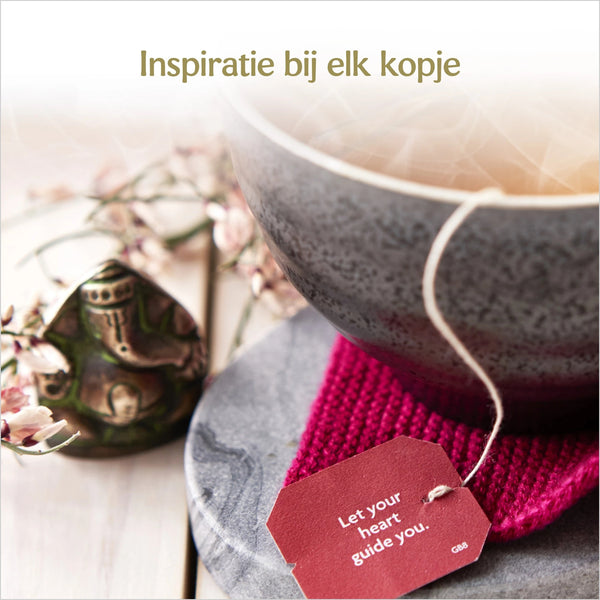 Yogi Tea Choco Bio pakje