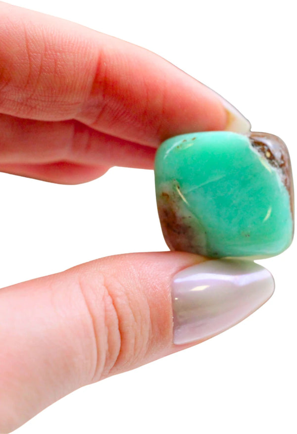 Chrysopraas 500 gr. trommelstenen (mt3)