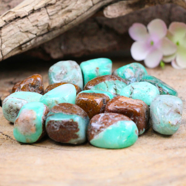Chrysopraas 500 gr. trommelstenen (mt3)