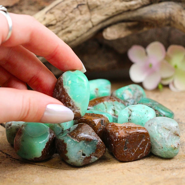 Trommelstenen Chrysopraas India (mt3), p/kg