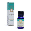 Etherische Olie Eucalyptus Song Of India Blauw Glazen Flesje 10ml