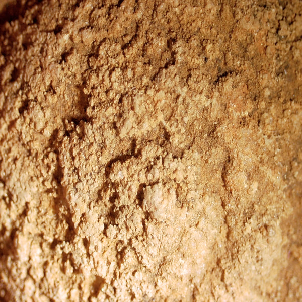 Castropool fossiel nr.64