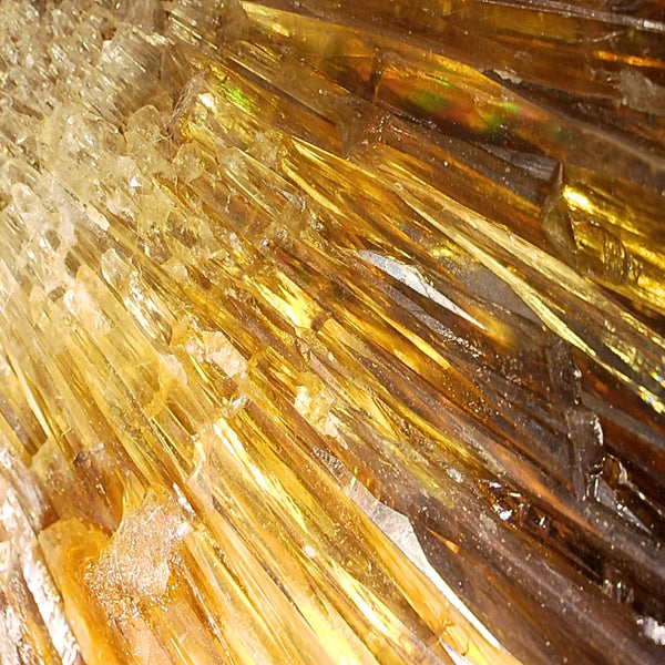 Honing Amber Calciet nr. 01