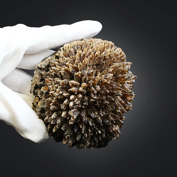 Honing Amber Calciet nr. 01