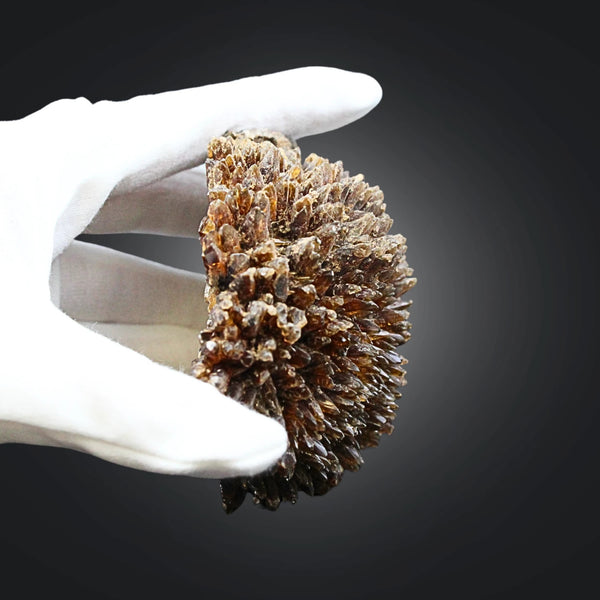 Honing Amber Calciet nr. 01