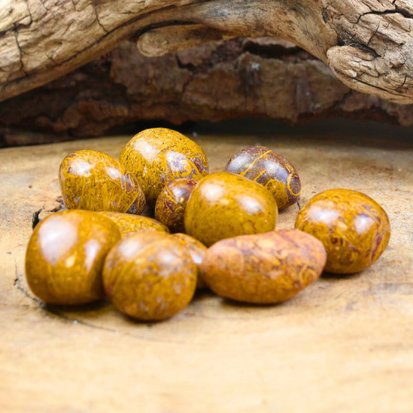 Trommelstenen 250 gr. Jaspis slangen (mt3)