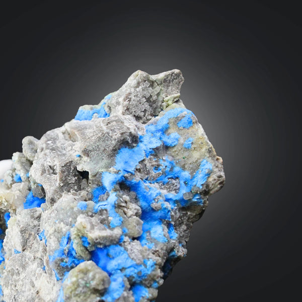Cyanotrichiet nr.73