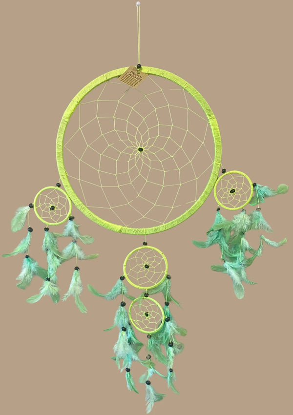 Dromenvanger veren 32cm Groen