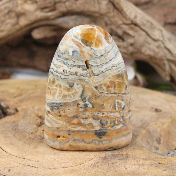 Aragoniet Zebra Sculptuur nr.04