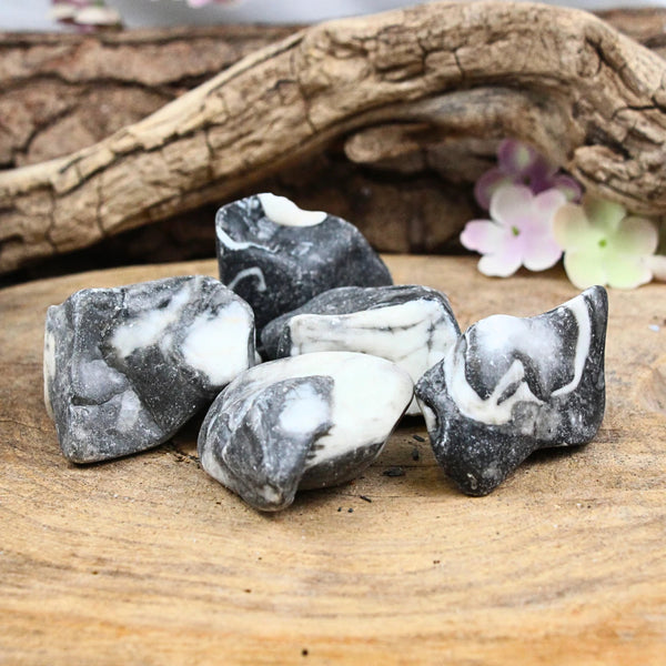 Jaspis schelp 500 gr. ruwe brokjes