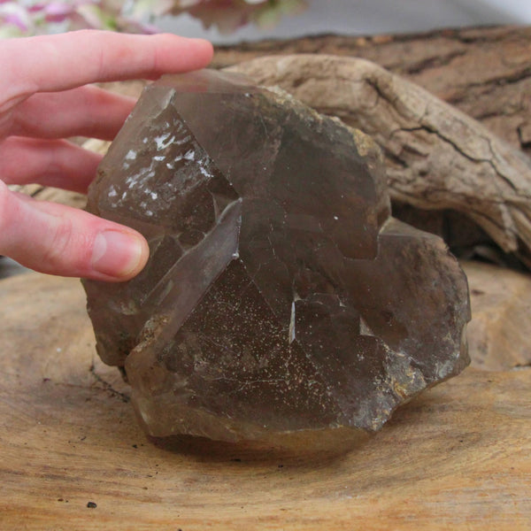 Rookkwarts AA ruw nr.10