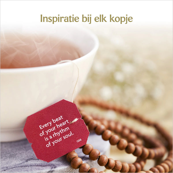 Yogi Spicy Strawberry Tea Bio pakje