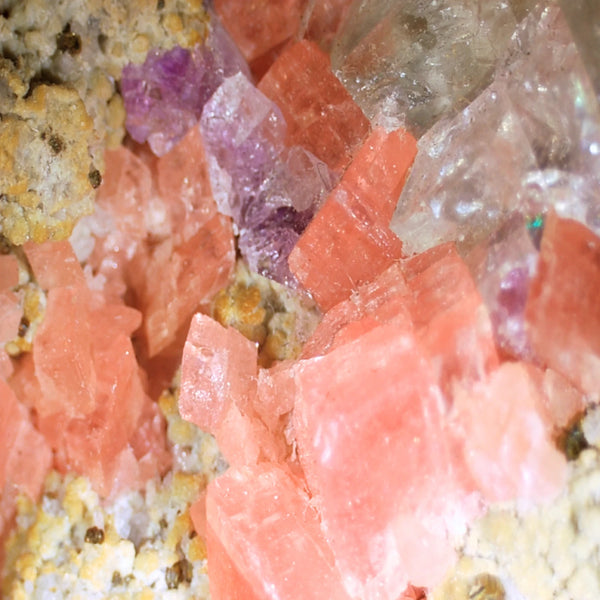 Rhodochrosiet met Pyriet en Dolomiet nr.699