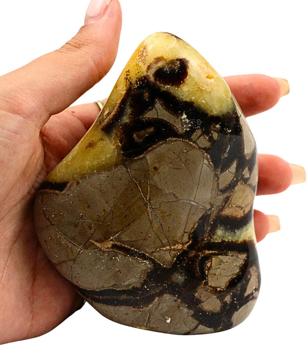 Septarie sculptuur nr.07