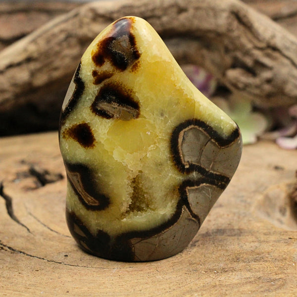 Septarie sculptuur nr.07