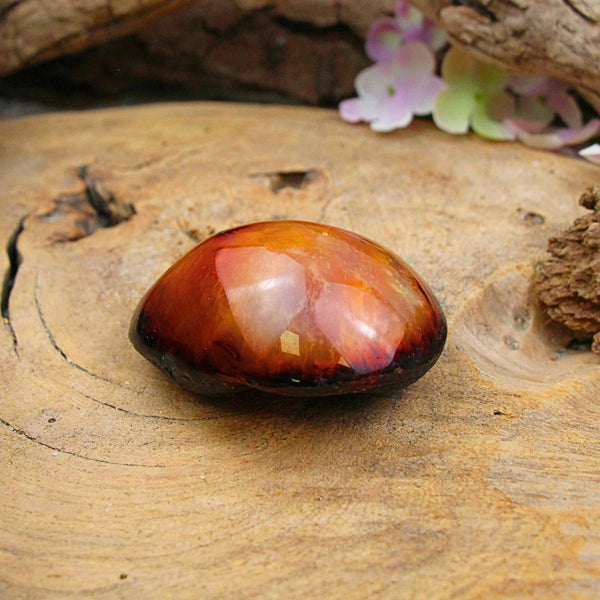 Carneool Halfg gepolijste Riviersteen 8 x 4 x 6 cm Per Stuk