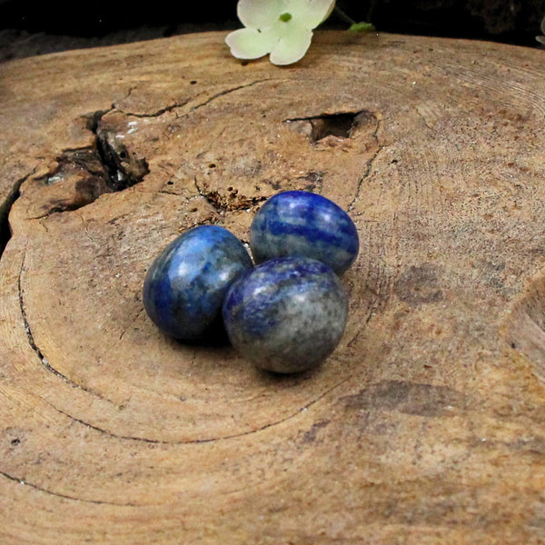 Trommelstenen 500 gr. Lapis Lazuli (mt3)