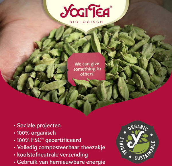 Yogi Tea Pumpkin Chai bio pakje