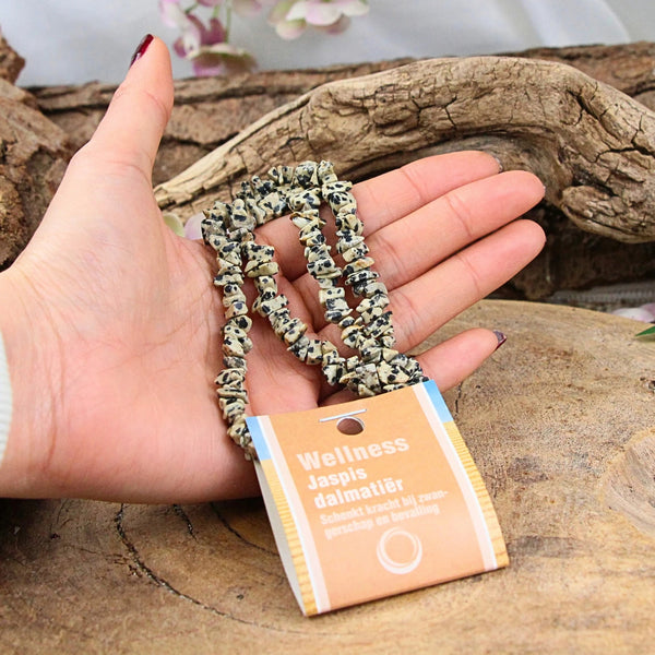 Jaspis dalmatiër splitketting + kaart
