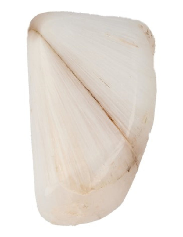 Scoleziet 100 gr. trommelstenen (mt3)