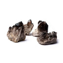 Ruwe Rookkwarts Cluster Edelstenen 500 Gram Brazilië