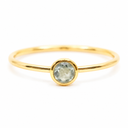 Geboortesteen Ring Aquamarijn Maart - 925 Zilver Verguld (Maat 17)