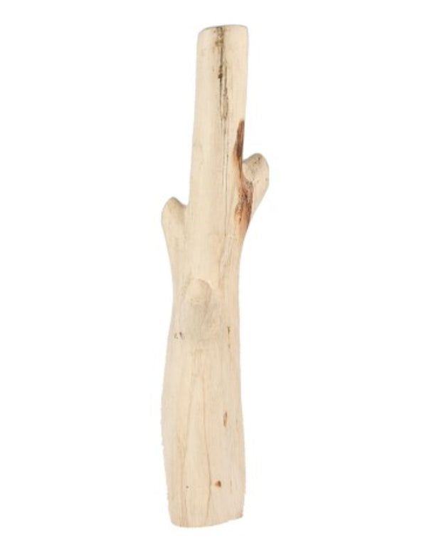 Bamboe scheuten versteend, p/kg