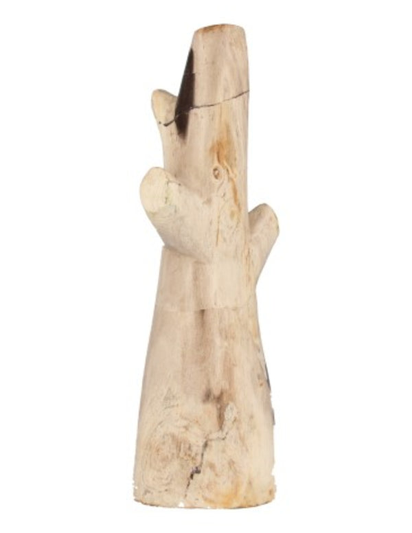 Bamboe scheuten versteend, p/kg