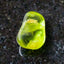 Peridoot