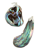 Abalone schelp edelsteen hanger