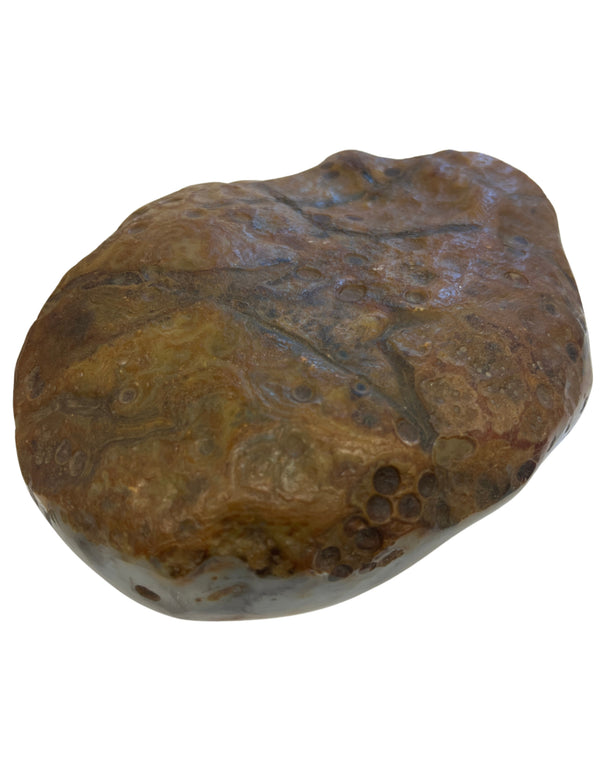 Agaat Dendriet Sculptuur Madagaskar Decoratie Slaapkamer Energie
