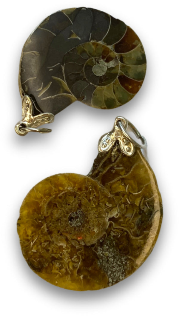 Edelsteen Hanger Ammoniet
