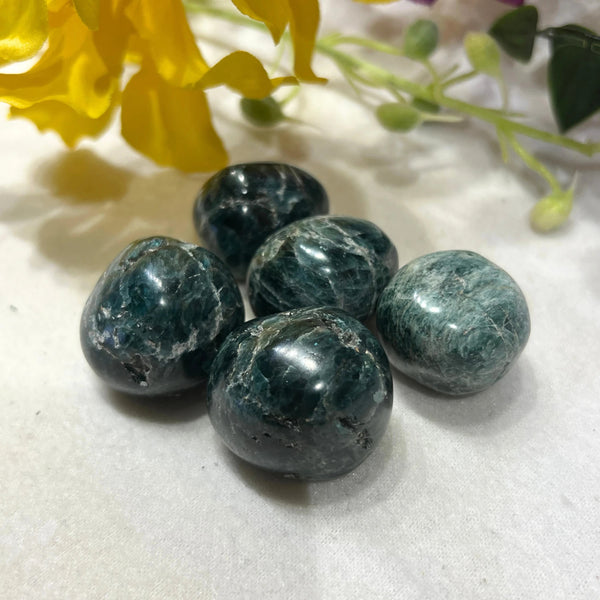 Trommelstenen Apatiet Groen (20-30 mm) - 200 gram