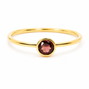 Geboortesteen Ring Granaat Januari - 925 Zilver Verguld (Maat 17)